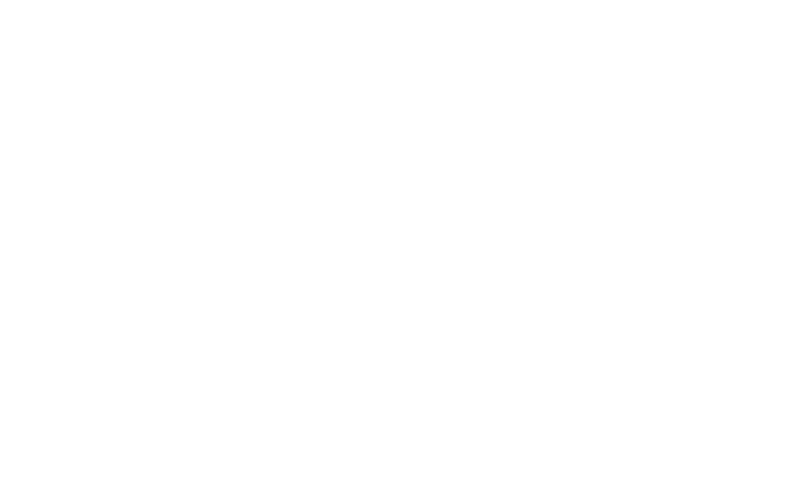 bosch-01